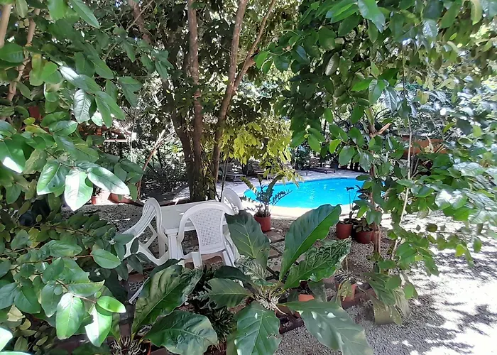 Cabinas La Playa Hotel
