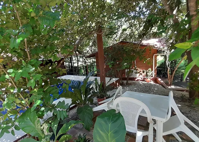 Hotel Cabinas La Playa Playa Avellana