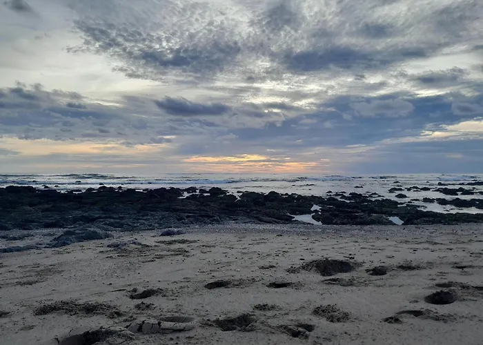 Cabinas La Playa Hotel