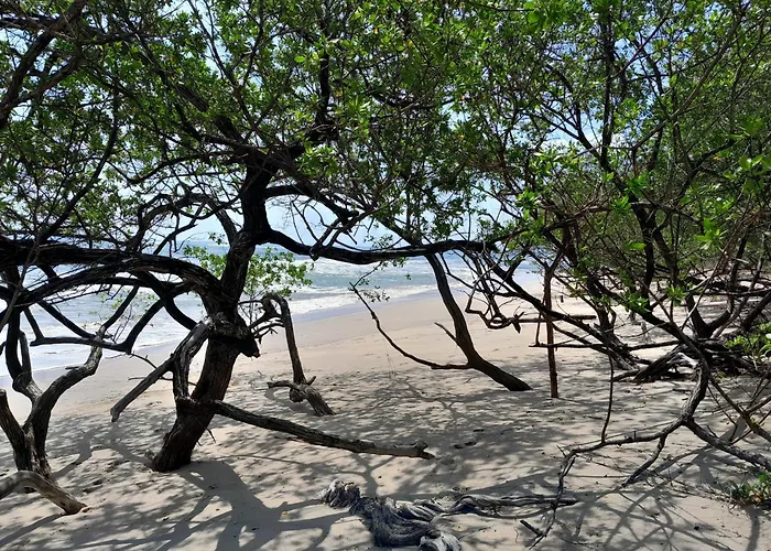 Cabinas La Playa